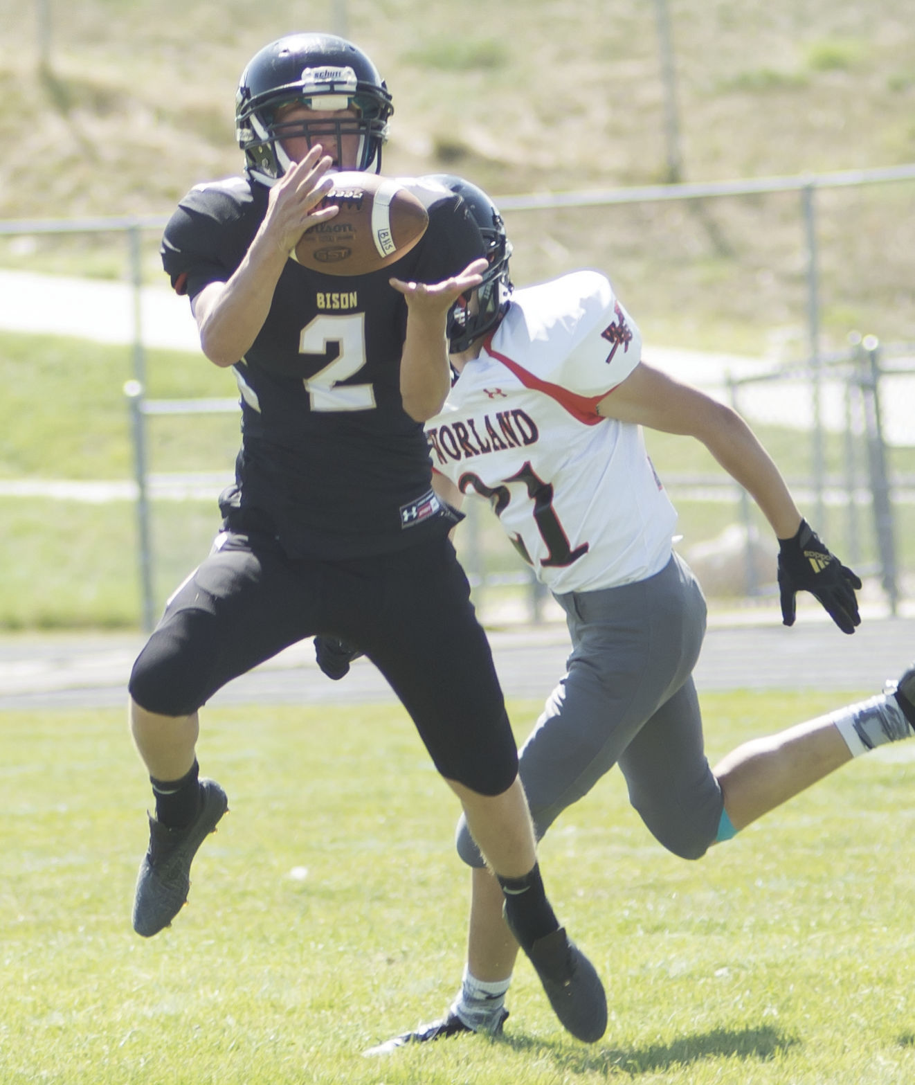 Bison thump worland 2